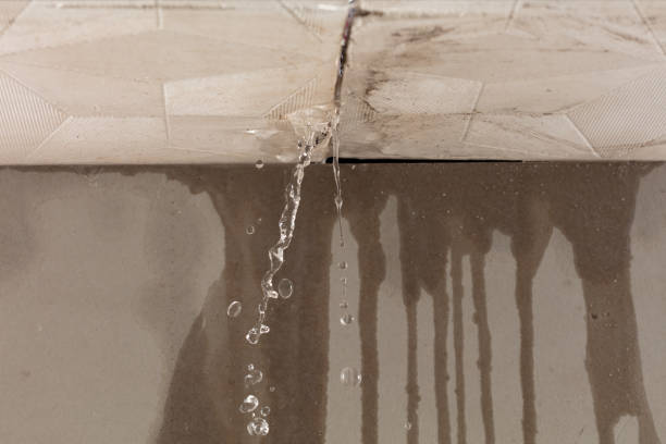 Professional Water Extraction technician working in Bardwell, TX